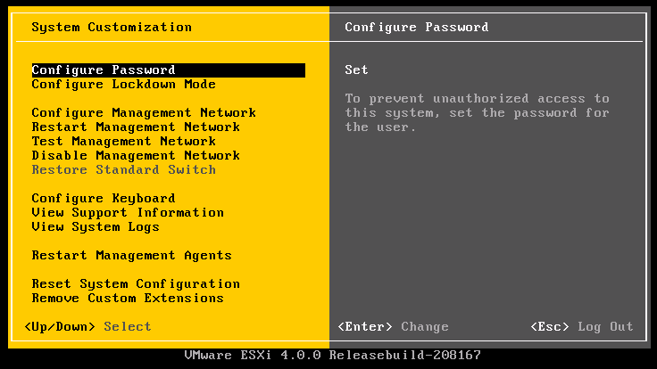 VMWare ESXi System Customisation Screen