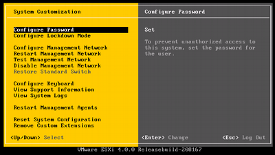 VMWare ESXi System Customisation Screen