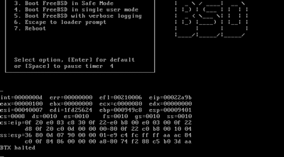 FreeBSD 8.2 BTX Halted