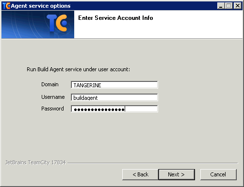 TeamCity v6.5.1 Windows Build Agent 2011-06-20_105008 Enter Service Account.png