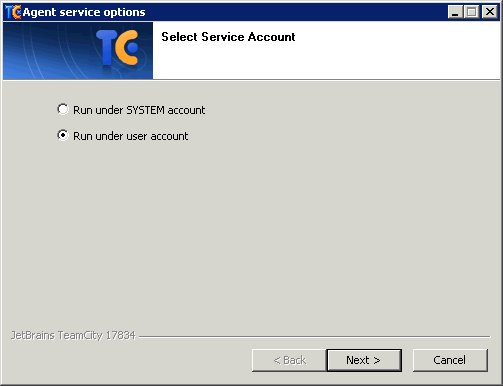 TeamCity v6.5.1 Windows Build Agent 2011-06-20_104739 Select Service Account.png