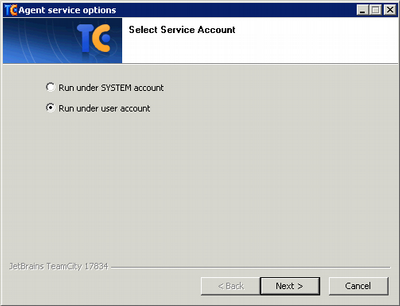 TeamCity v6.5.1 Windows Build Agent 2011-06-20_104739 Select Service Account.png