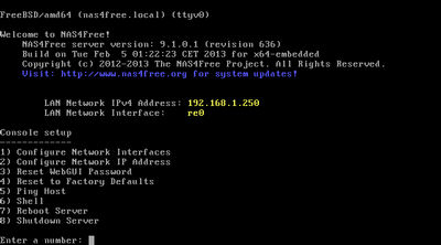 FreeNas Install 39 2013-03-16_135421.png